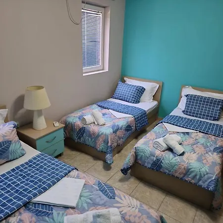 Lion Apartment